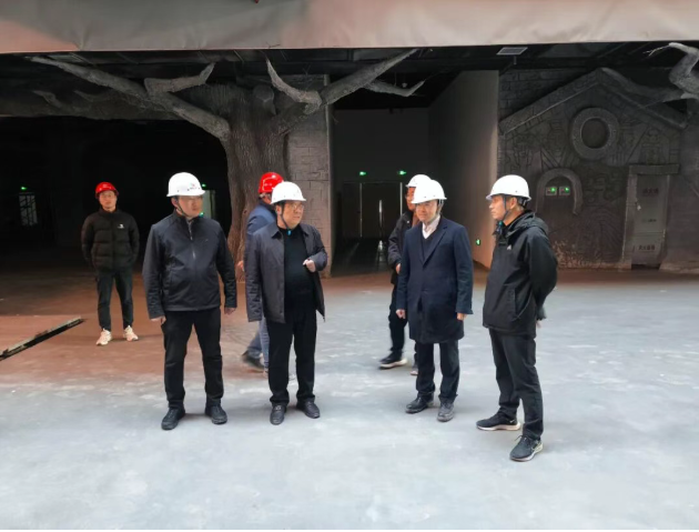 1765174262626542.png da42ec06-f510-442a-85d0-916bafa2bf4c.png